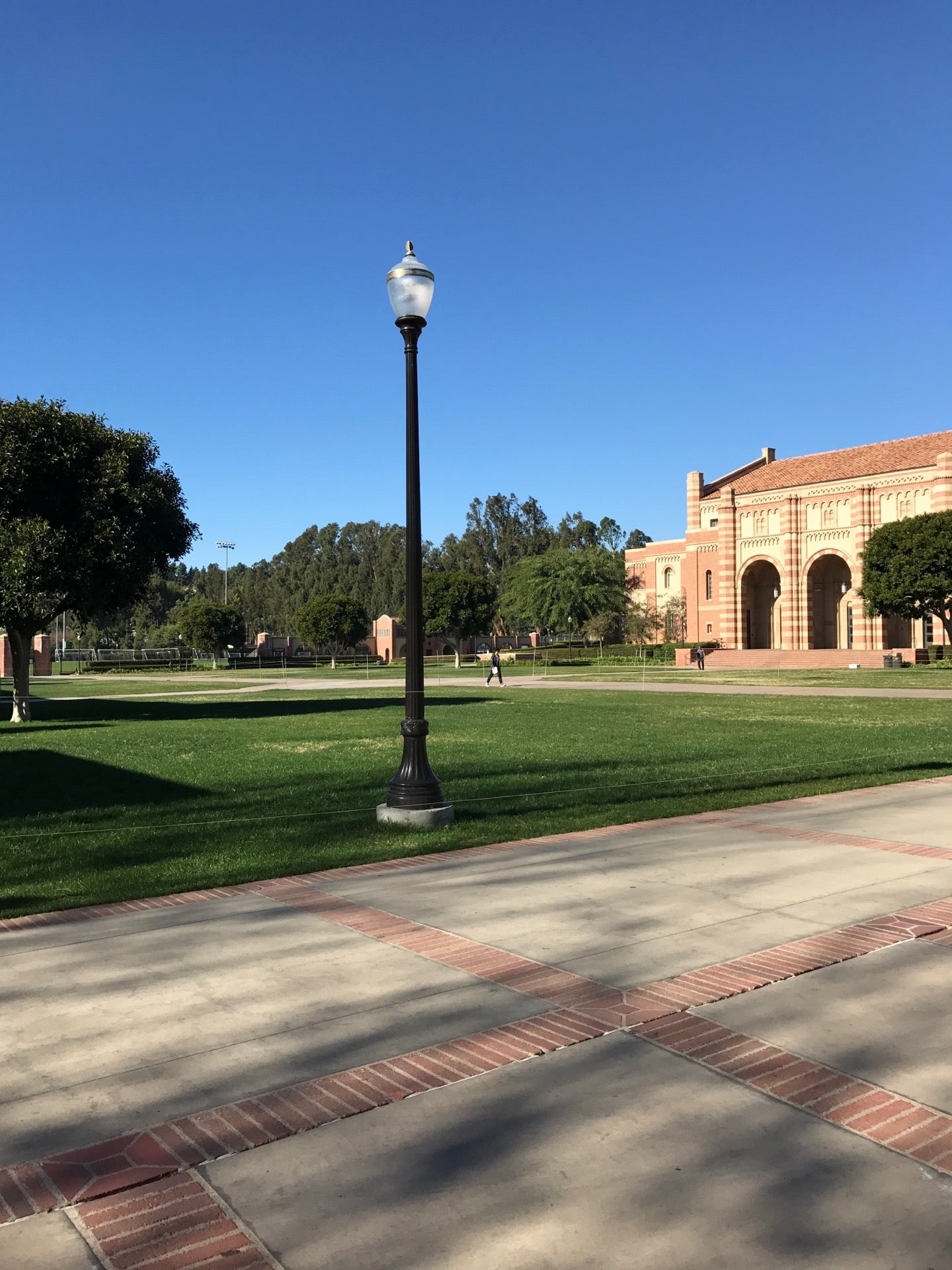 UCLA Sproul Cove Landing, 330 De Neve Dr, Los Angeles, CA, Services NEC