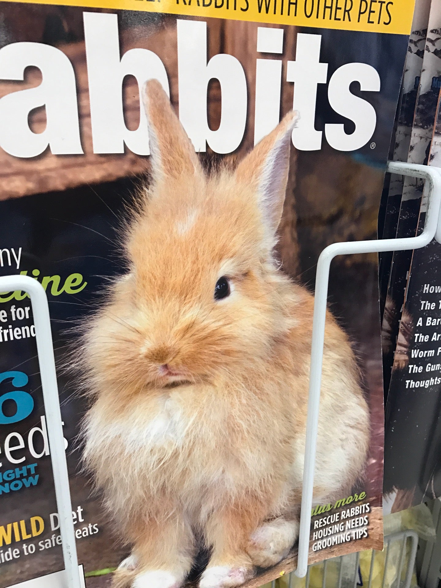Wilco Farm Store Newberg, 2300 E Hancock St, Newberg, OR, Garden