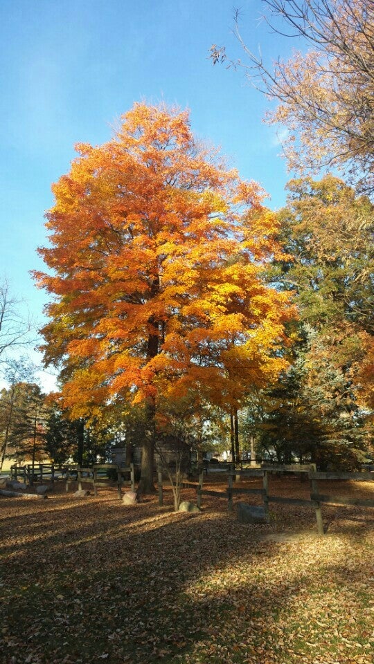 Rossville, IN Map & Directions MapQuest