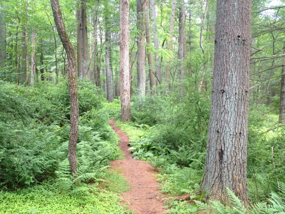 Pine Grove Furnace State Park, 1100 Pine Grove Rd, Cooke Twp, PA, Parks MapQuest