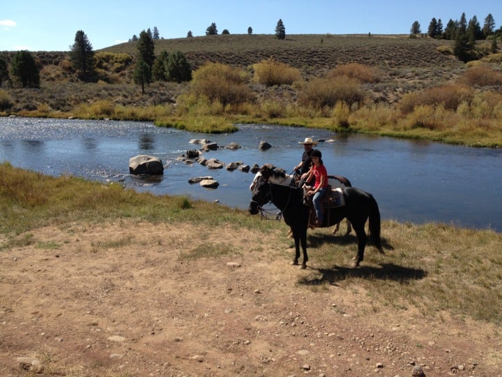 Piping Rock Equestrian Center, 12318 Union Mills Rd, Truckee, CA, Sports Training & Conditioning