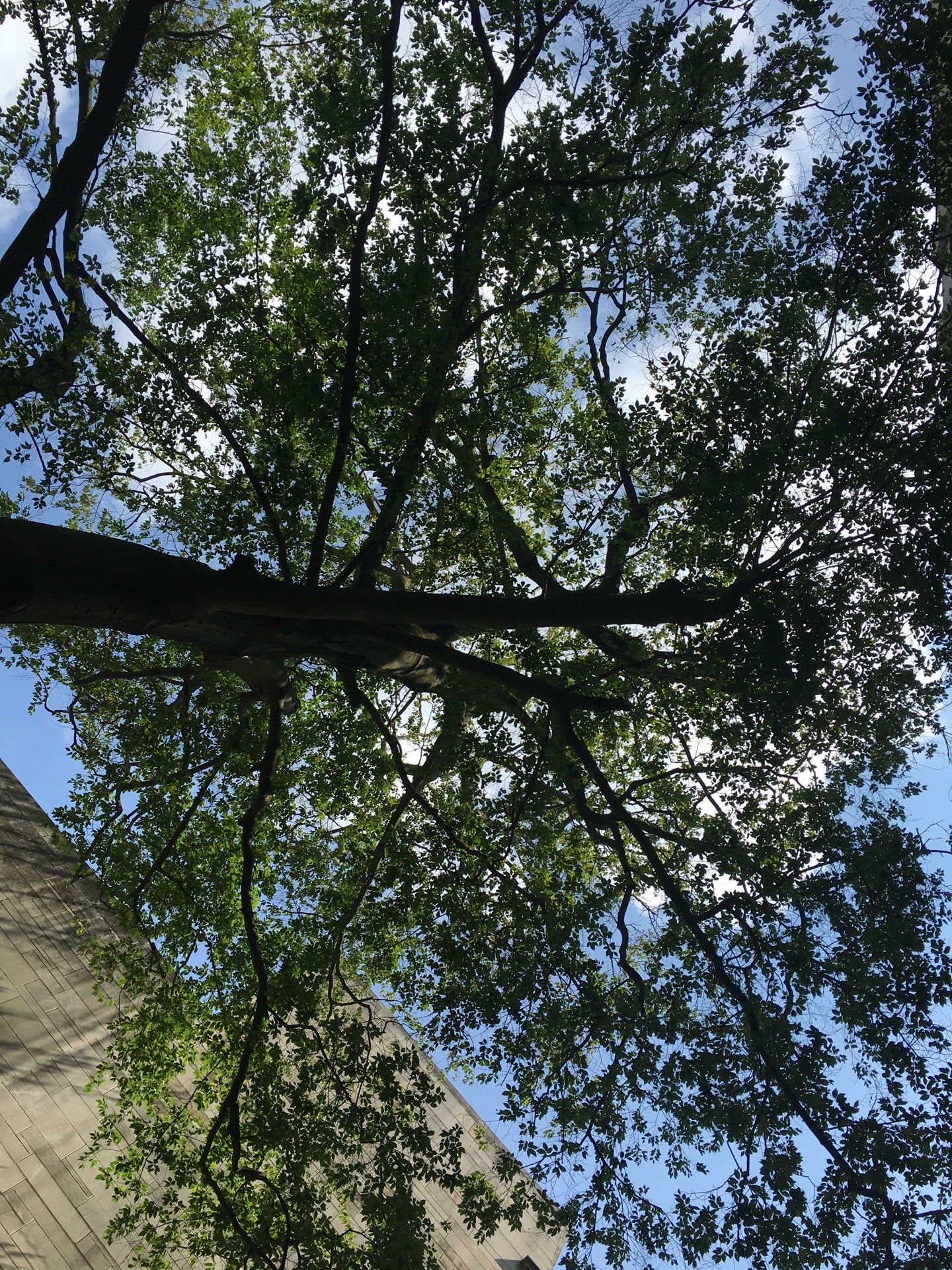 IU Chemistry Building 800 E Kirkwood Ave Bloomington IN Colleges Universities MapQuest IU Chemistry Building 800 E Kirkwood Ave Bloomington IN Colleges Universities MapQuest