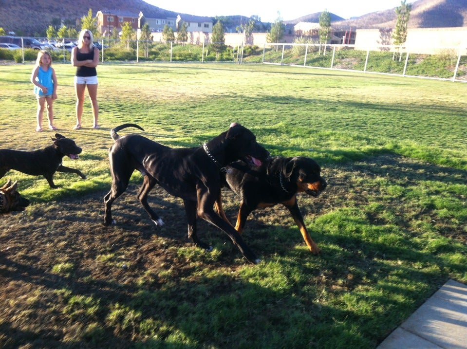 Canyon Hills Dog Park, 31989 Hollyhock St, Lake Elsinore, CA, Parks