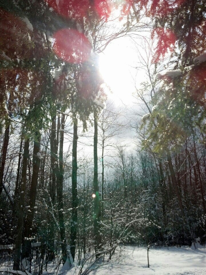 Sherrill Brook Park, 4191 State Route 12, Route 12, New Hartford, NY