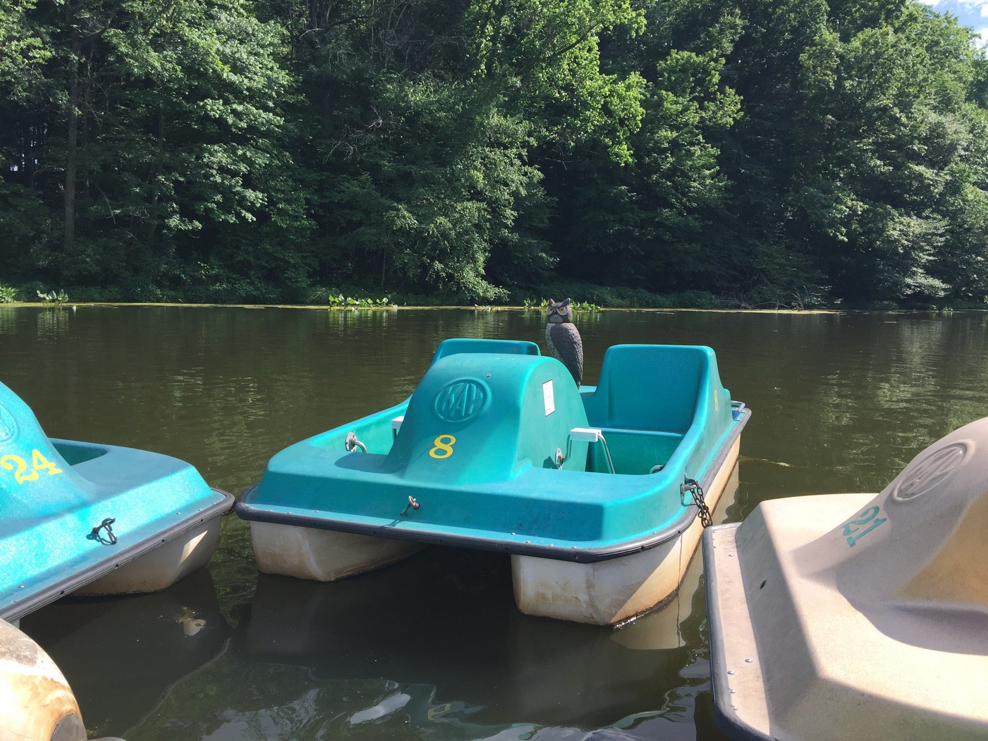 Echo Lake Park Paddle Boats, Park Dr, Mountainside, NJ, Parks MapQuest