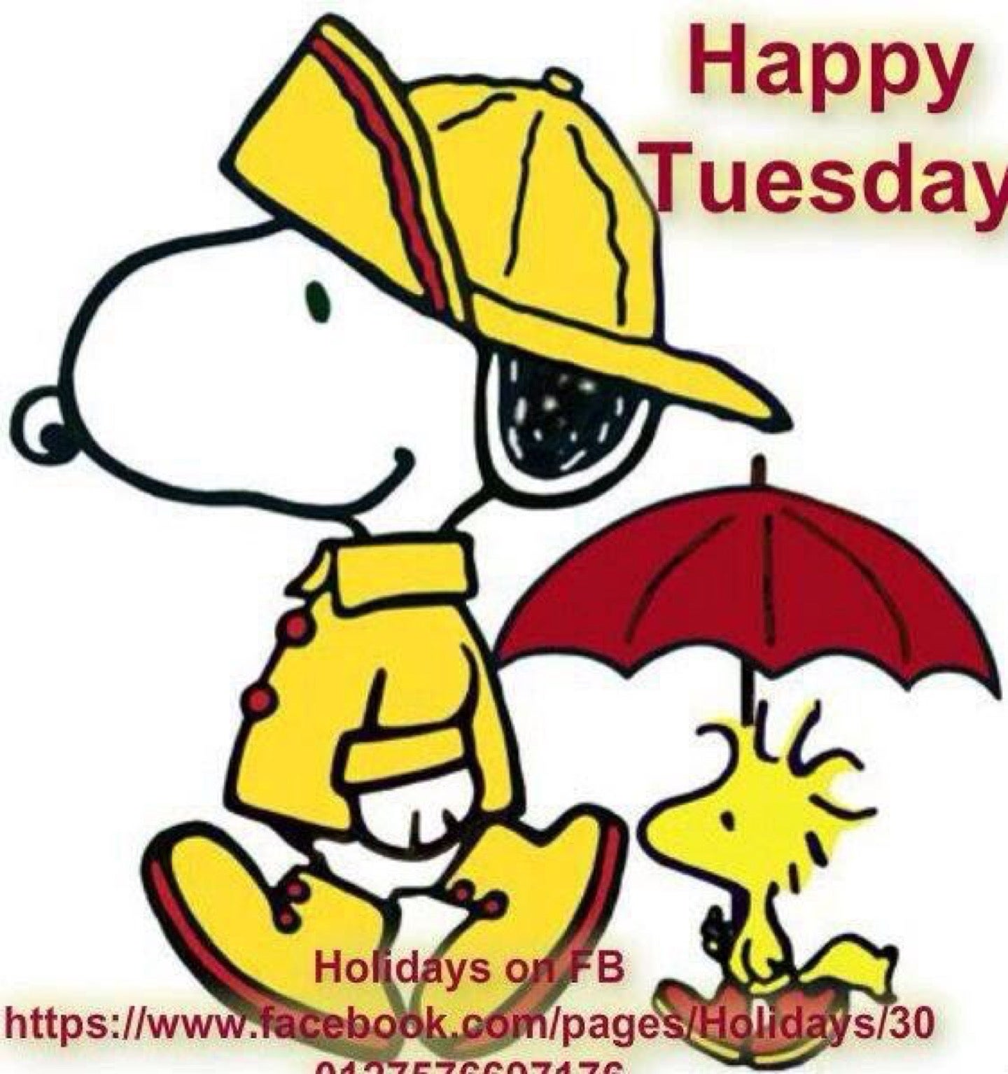 Snoopy Happy Tuesday Gif 47 - p1g3s47