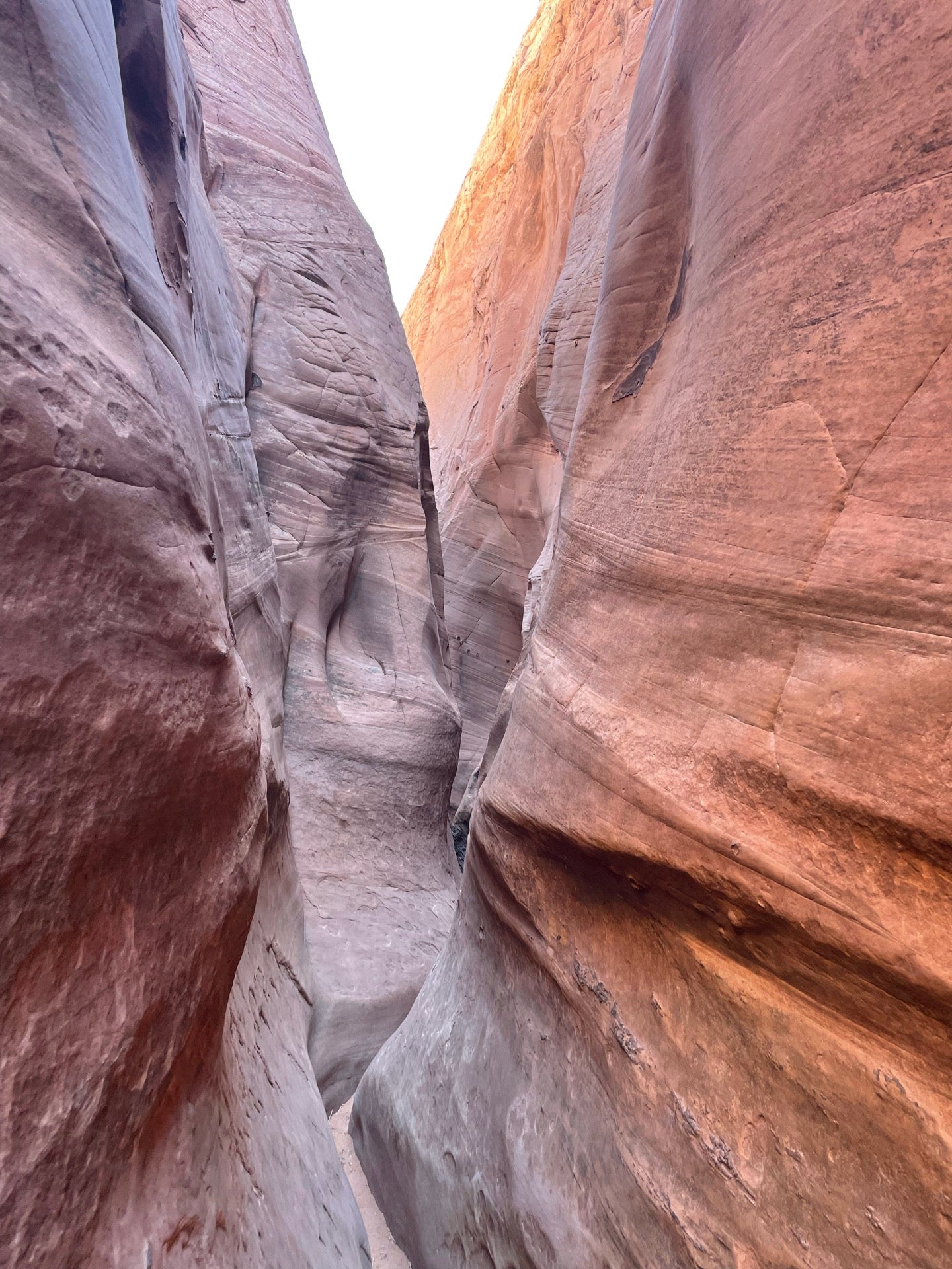 Grand StaircaseEscalante National Monument, Escalante, UT, Parks
