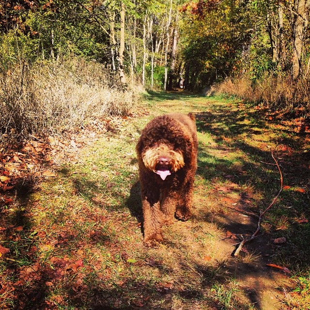 Jones, MI Map & Directions MapQuest