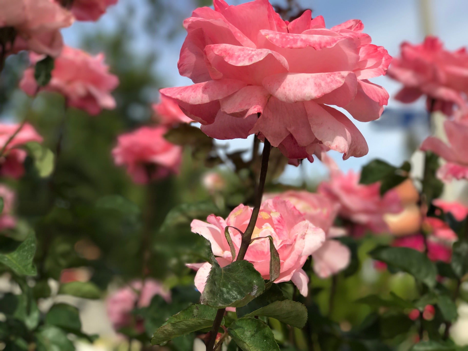 West Hills, CA Map & Directions MapQuest