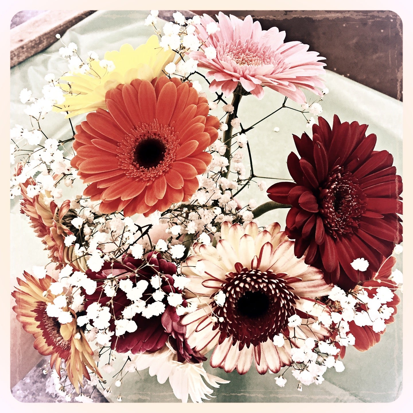 Fannin Street Flowers Houston Tx Best Flower Site