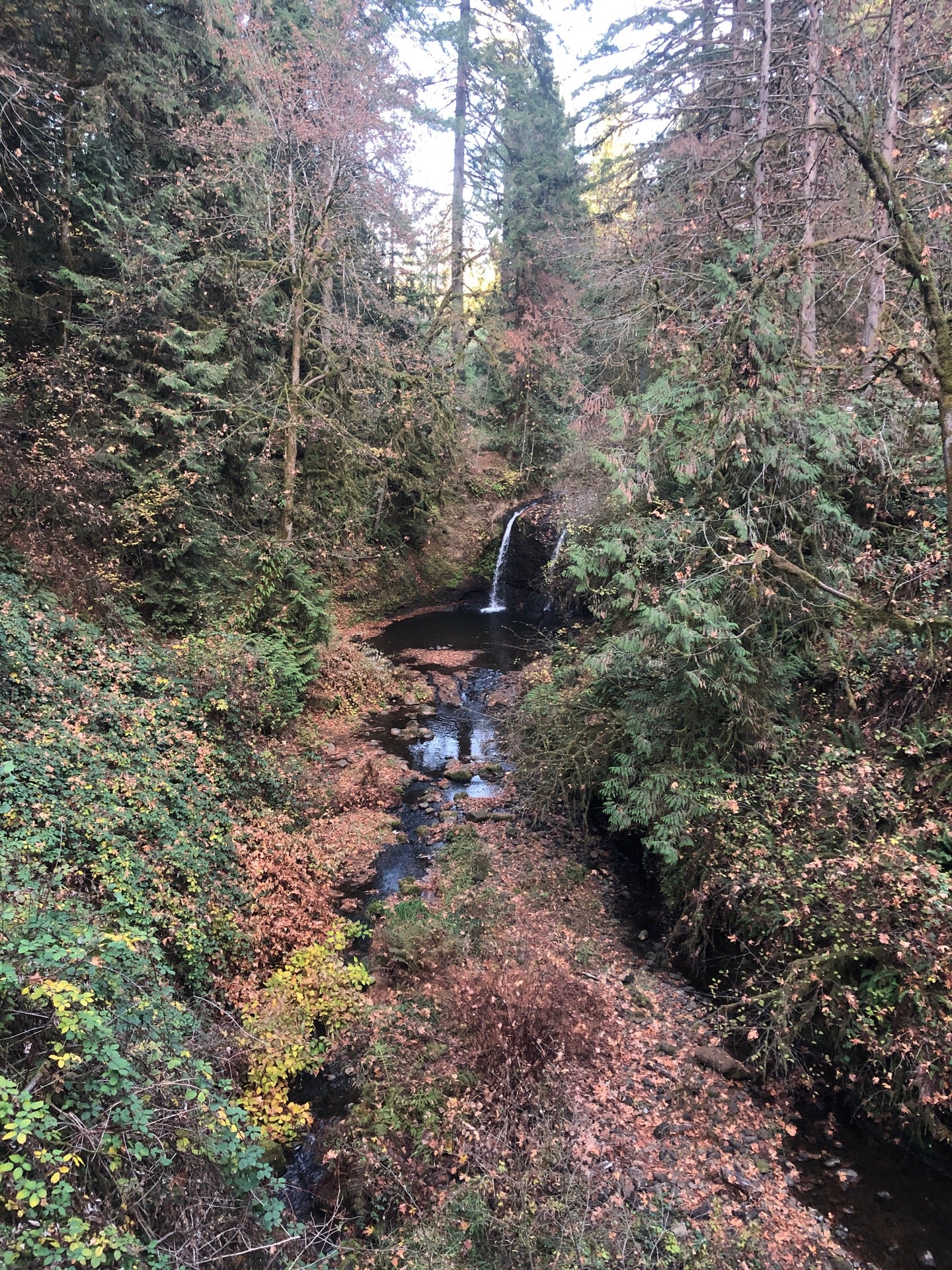 Damascus, OR Map & Directions MapQuest