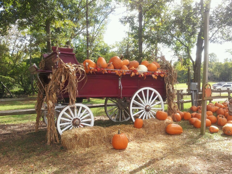 Pettit Creek Farms