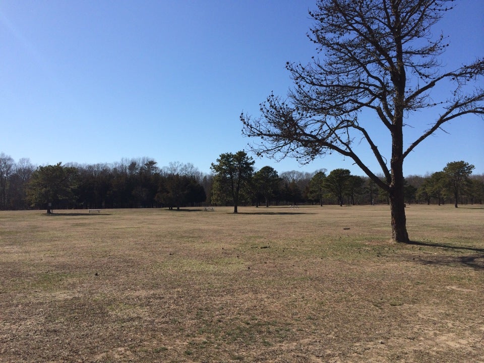 Cathedral Pines County Park, 116 Yaphank Middle Island Rd, Middle