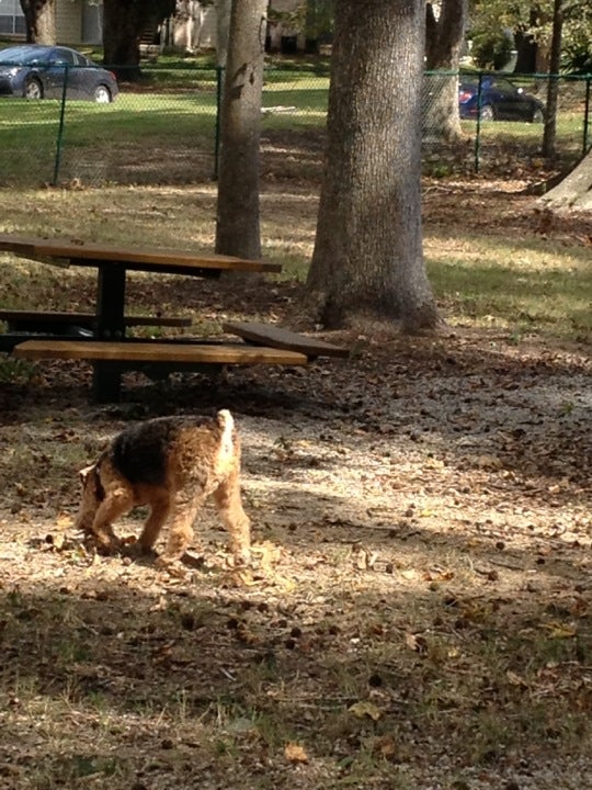 Mansions In The Park Dog Park, Baton Rouge, LA, Parks MapQuest