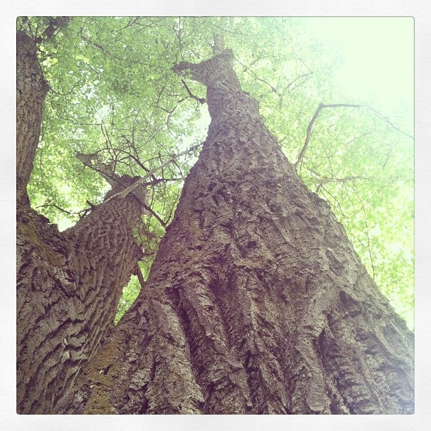 Bonner, MT Map & Directions MapQuest