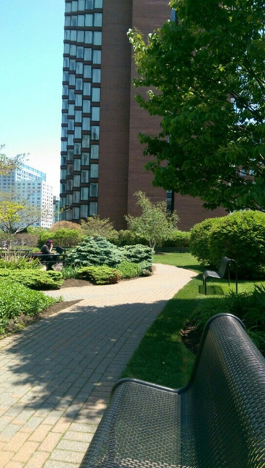 Rooftop Garden Cambridge Fasci Garden