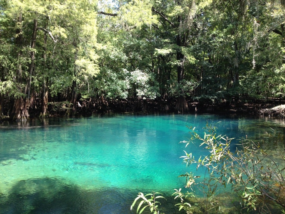 Manatee Springs State Park, 11650 NW 115th St, Chiefland, FL - MapQuest