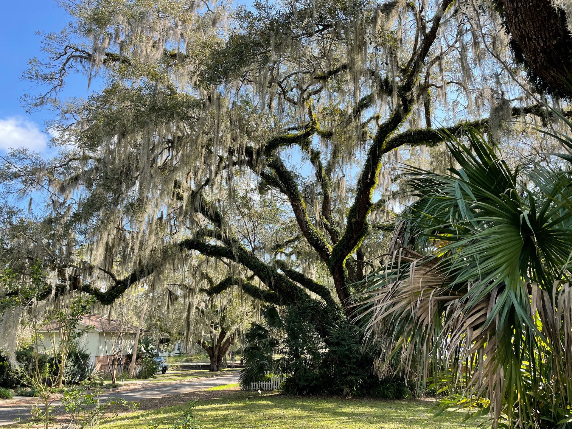 The Duck Pond, NE Blvd, Gainesville, FL MapQuest