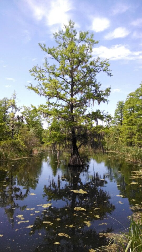 St. Stephen, SC Map & Directions MapQuest