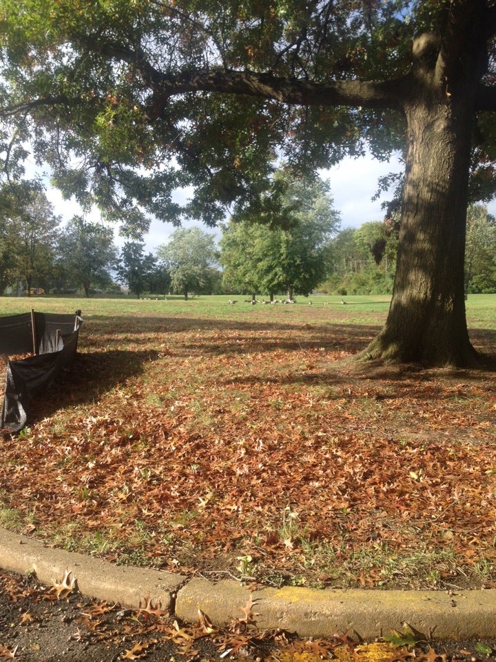 Brandywood Elementary School, 2115 Anson Rd, Wilmington, DE, Schools