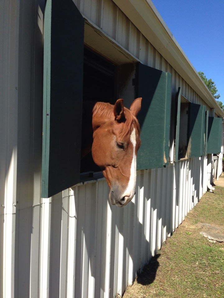 Aintree Farms Club House, 3310 Winners Cir, Germantown, TN, Real Estate
