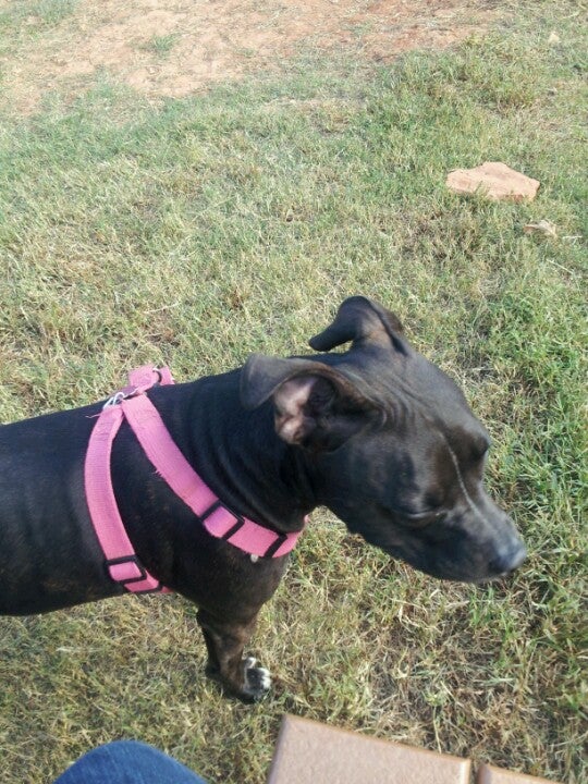 Dog Park, Gainesville, GA MapQuest