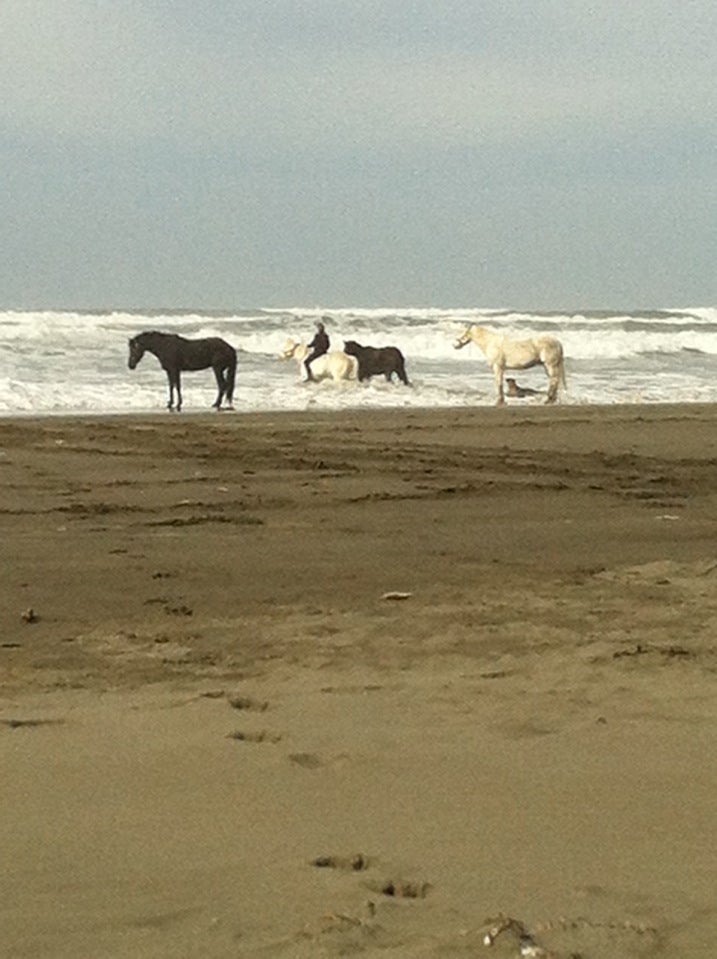 Little River State Beach, Little River, McKinleyville, CA, Parks MapQuest
