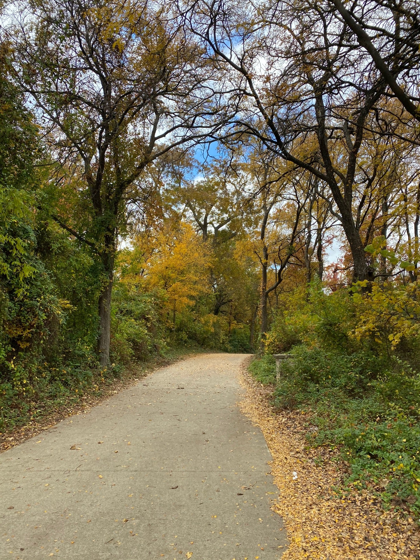 Taychas Trail, Frisco, TX MapQuest