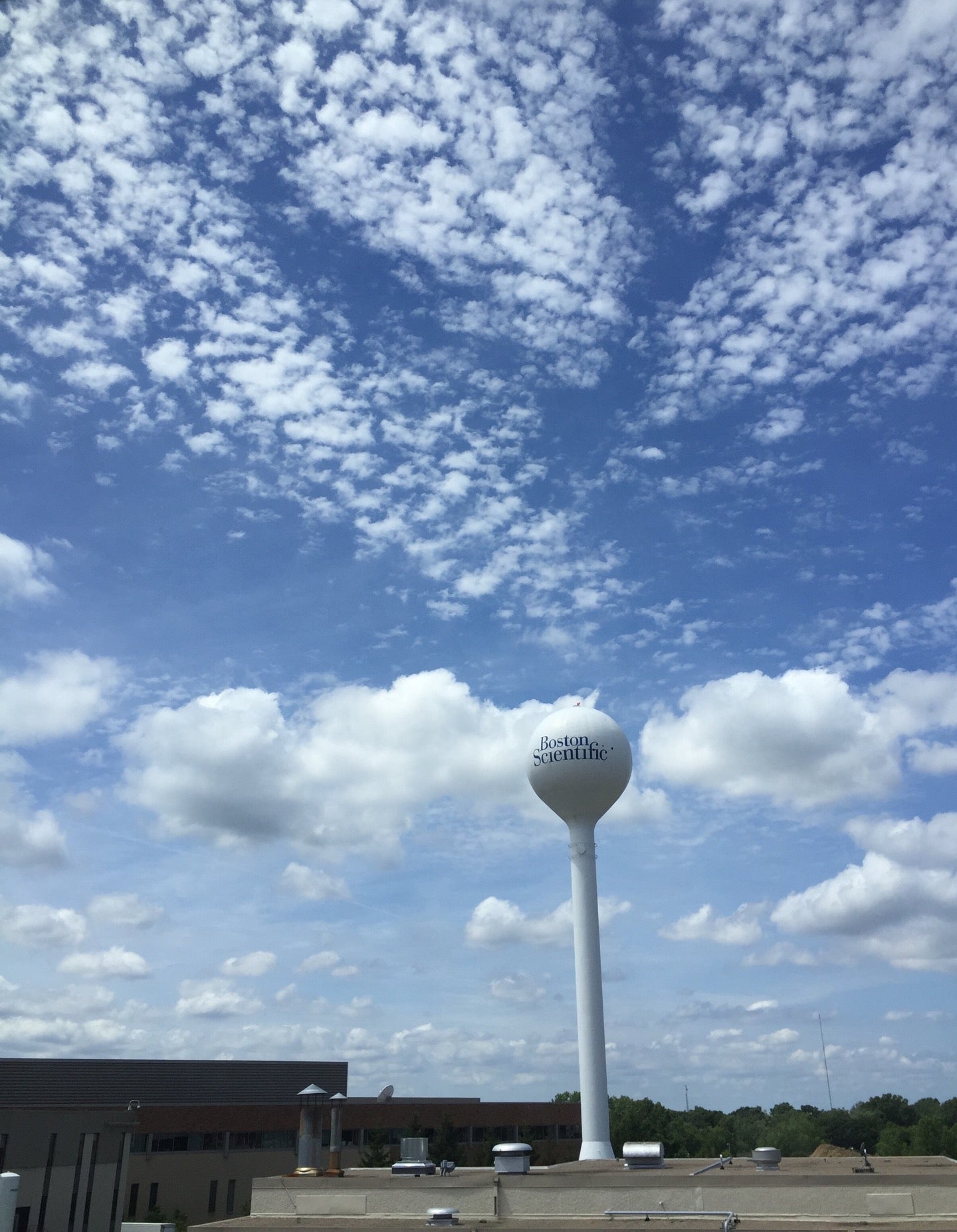 Boston Scientific Corporation, 4100 Hamline Ave N, St Paul, MN