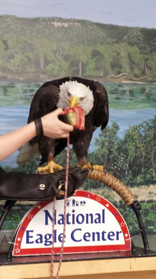 Nelson, WI Map & Directions MapQuest