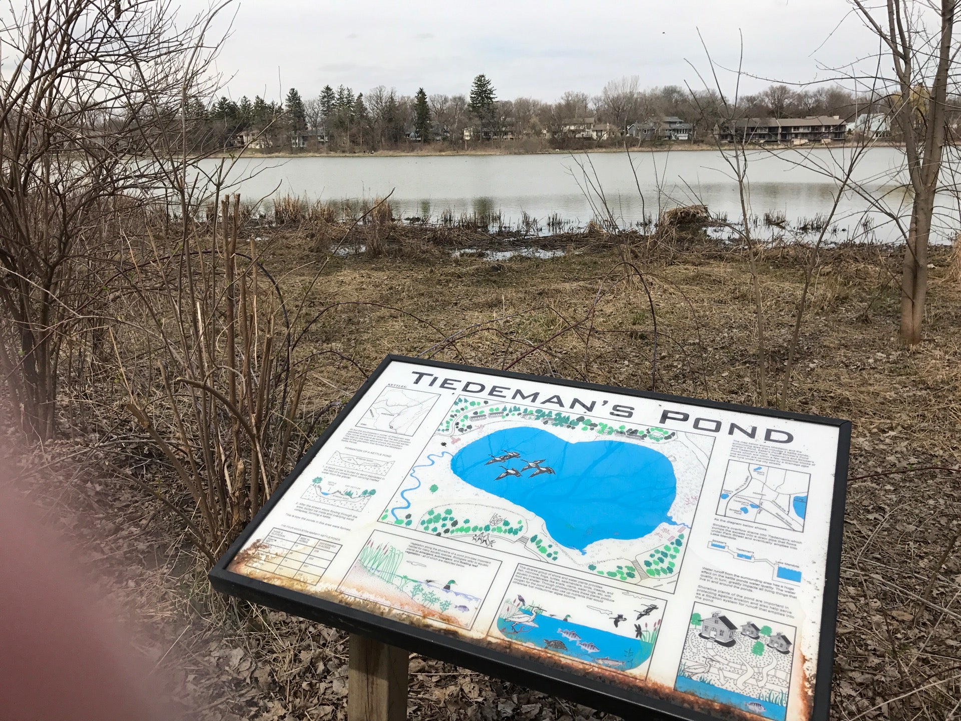 Tiedman's Pond, Park Street, Middleton, WI, Lake MapQuest