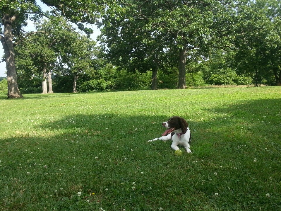 Marmaduke Park, Edwards St, Nevada, MO MapQuest