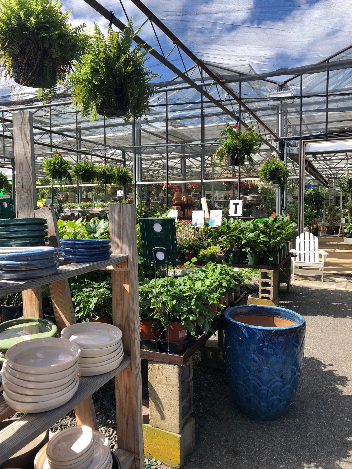 Pottery - Mahoney's Garden Center