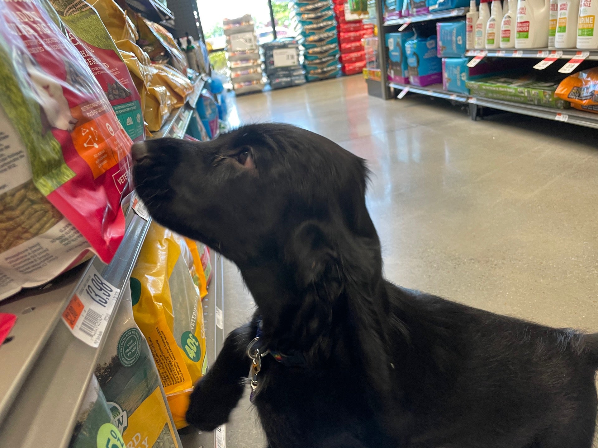 Pet Supplies Plus Now Open On Memorial Parkway! - Crunkleton