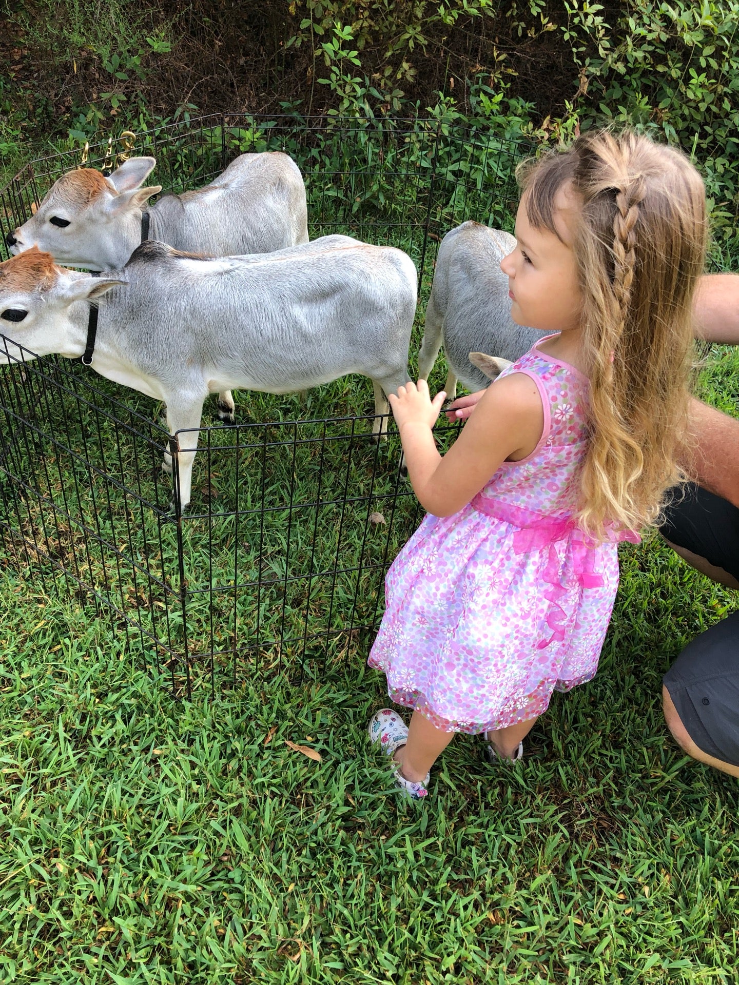 Mill Creek Dog Park, Balch Rd, Madison, AL MapQuest