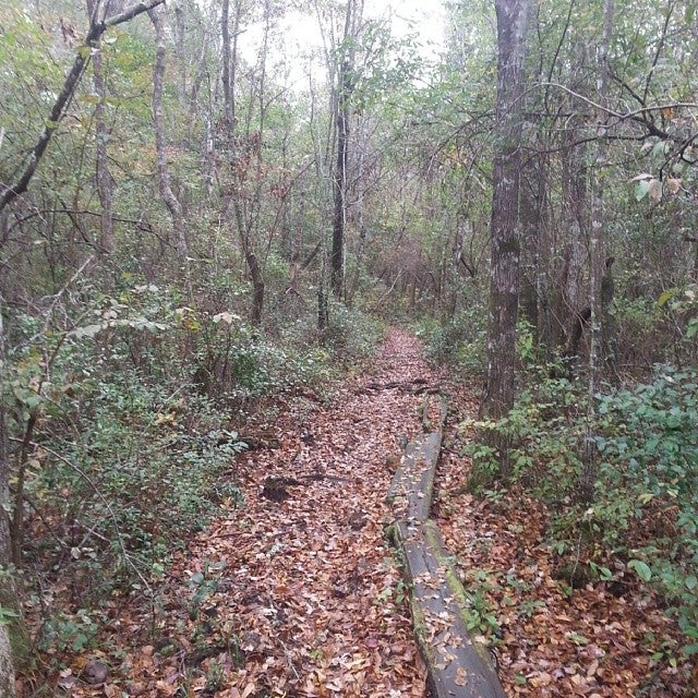 Palmetto Trail Lake Moultrie Passage, N Highway 52, Bonneau, SC