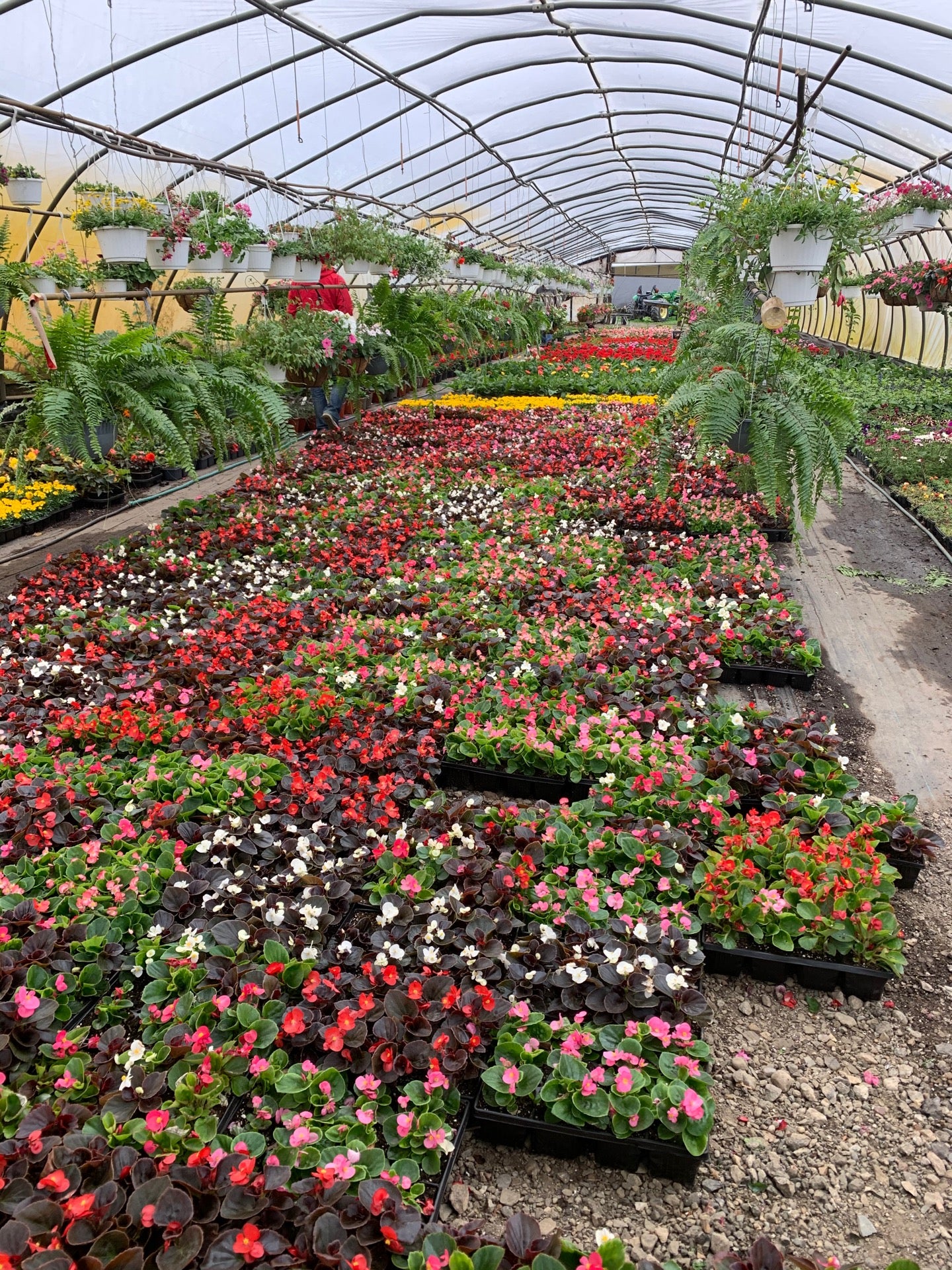 Filanowski Farms, 381 Wheelers Farms Rd, Milford, CT, Nurseries - MapQuest