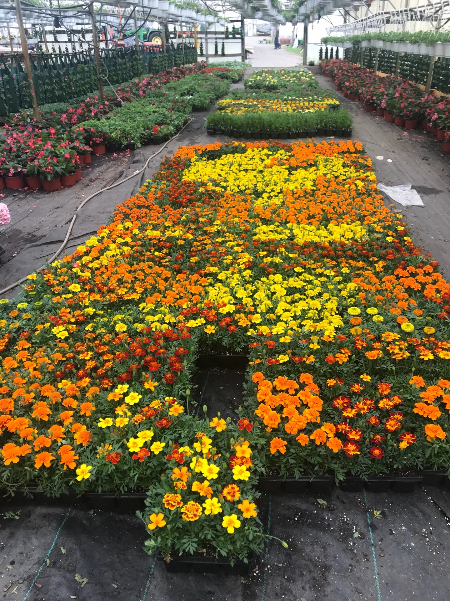 Filanowski Farms, 381 Wheelers Farms Rd, Milford, CT, Nurseries - MapQuest