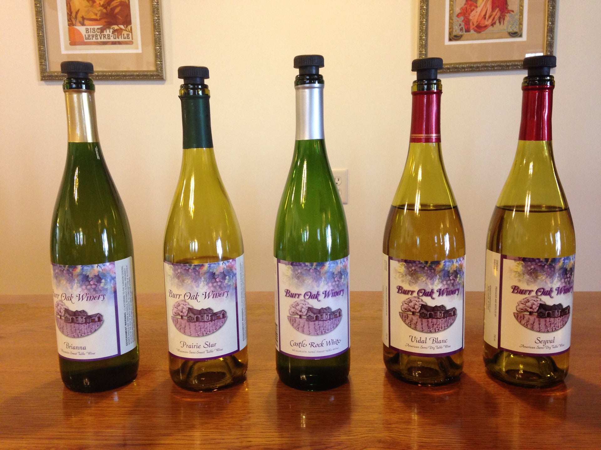 Burr Oak Winery, N5873 US Highway 12 and 16, New Lisbon, WI, Vineyards