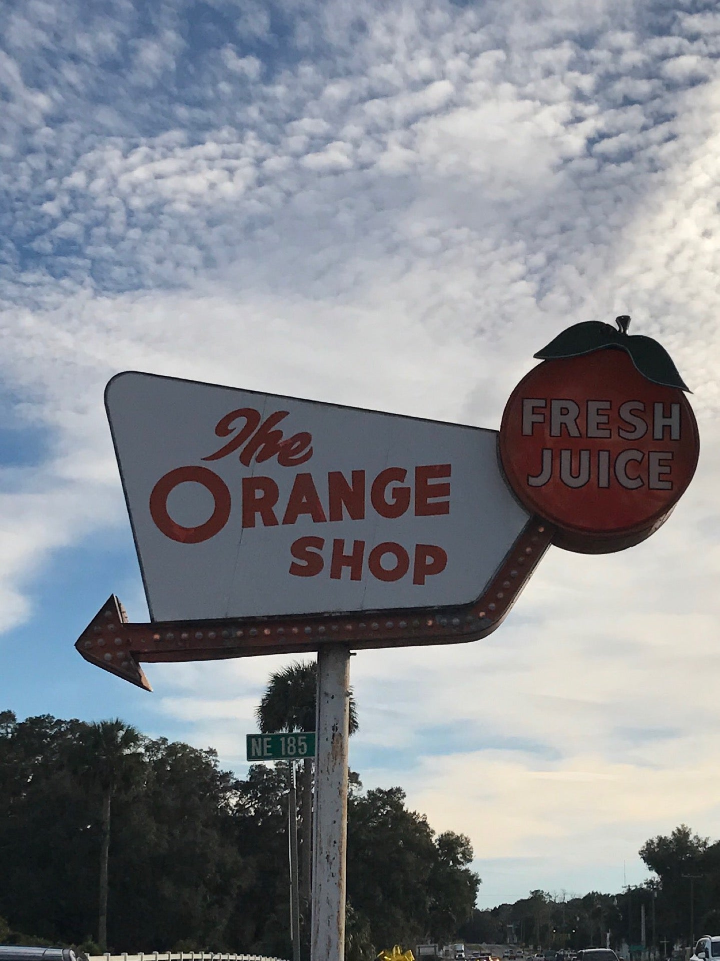 Citra Navel Oranges from The Orange Shop in Citra, Florida