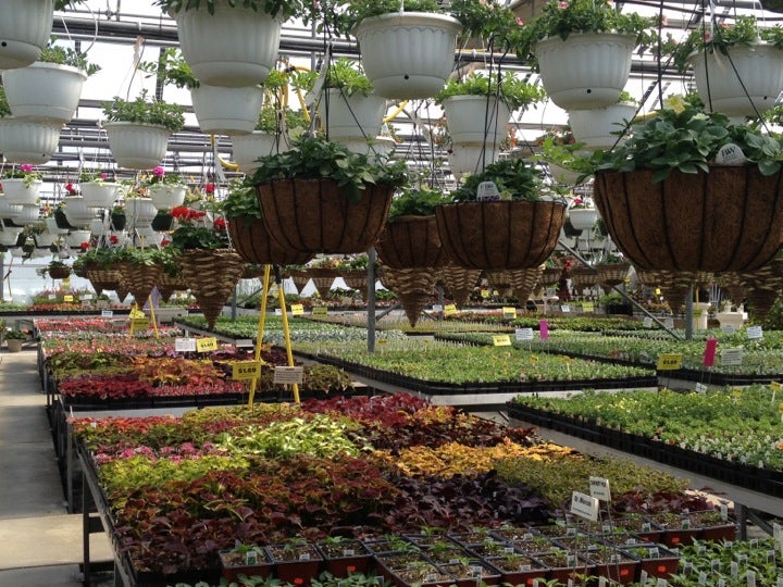 Black Creek Greenhouses, 211 E Black Creek Rd, East Earl, PA