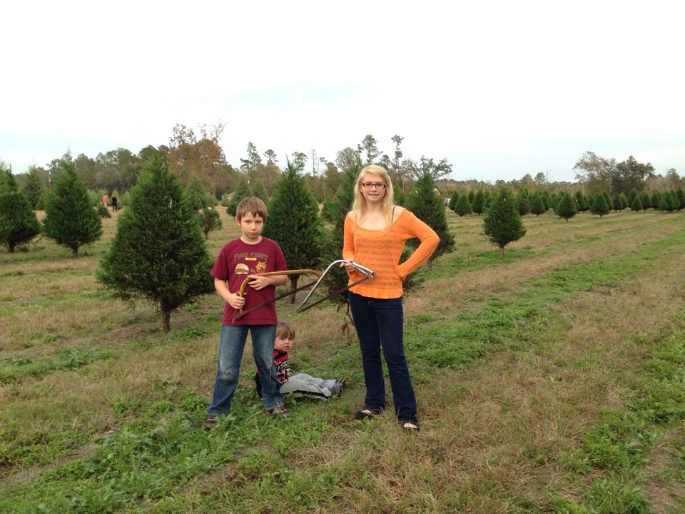 Mardi Gras Trees come from Shady Pond Tree Farm