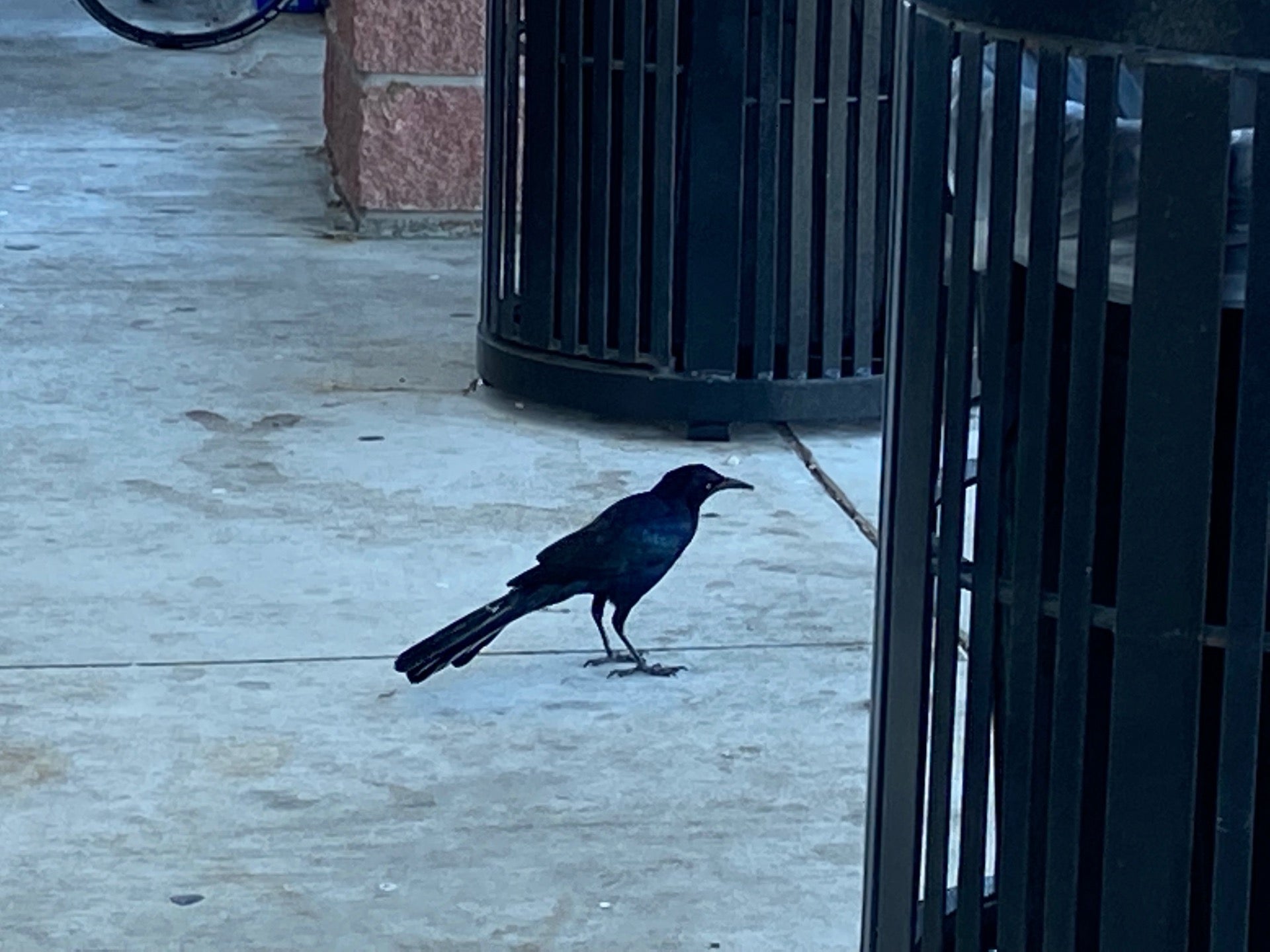 Weleetka, OK Map & Directions MapQuest