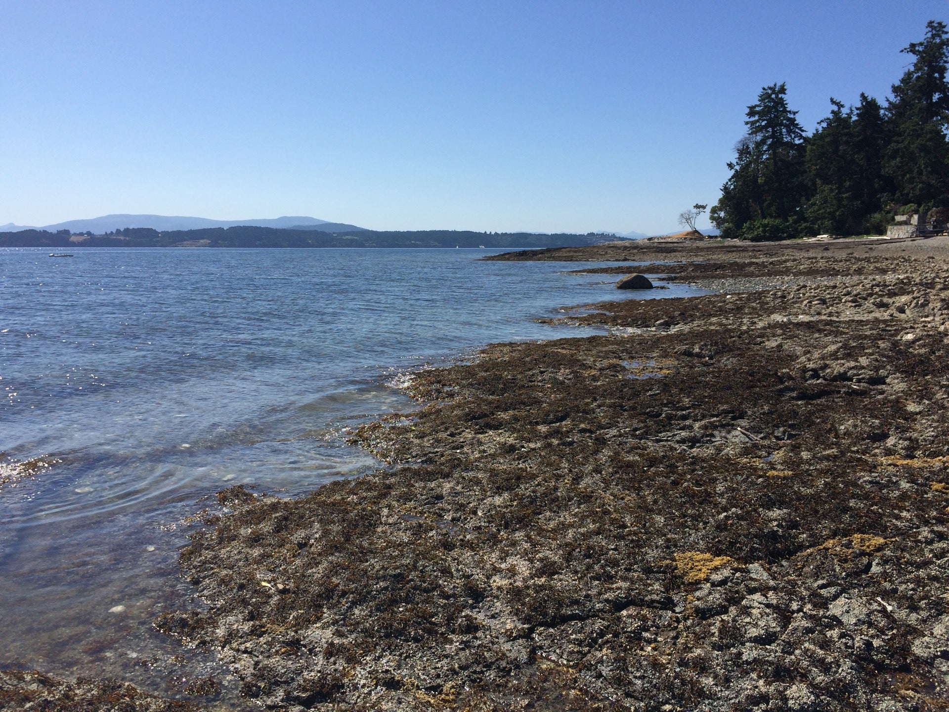 Towner Park Beach, Madrona Dr, North Saanich, BC MapQuest