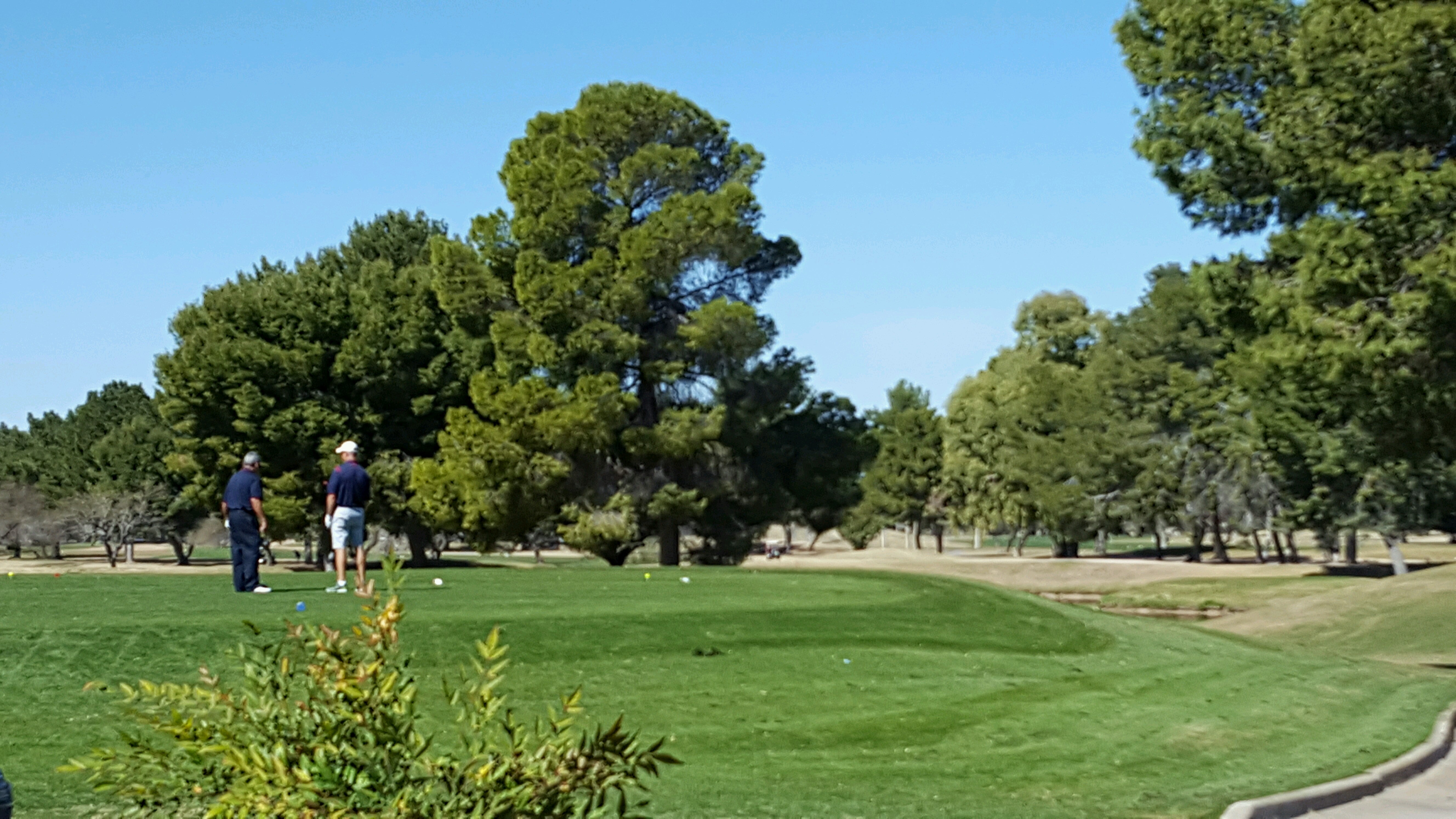 Randolph North Golf Course, 600 S Alvernon Way, Tucson, AZ, Tourist Attractions MapQuest