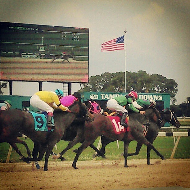 Tampa Bay Downs, 11225 Race Track Rd, Tampa, FL, Race Tracks MapQuest