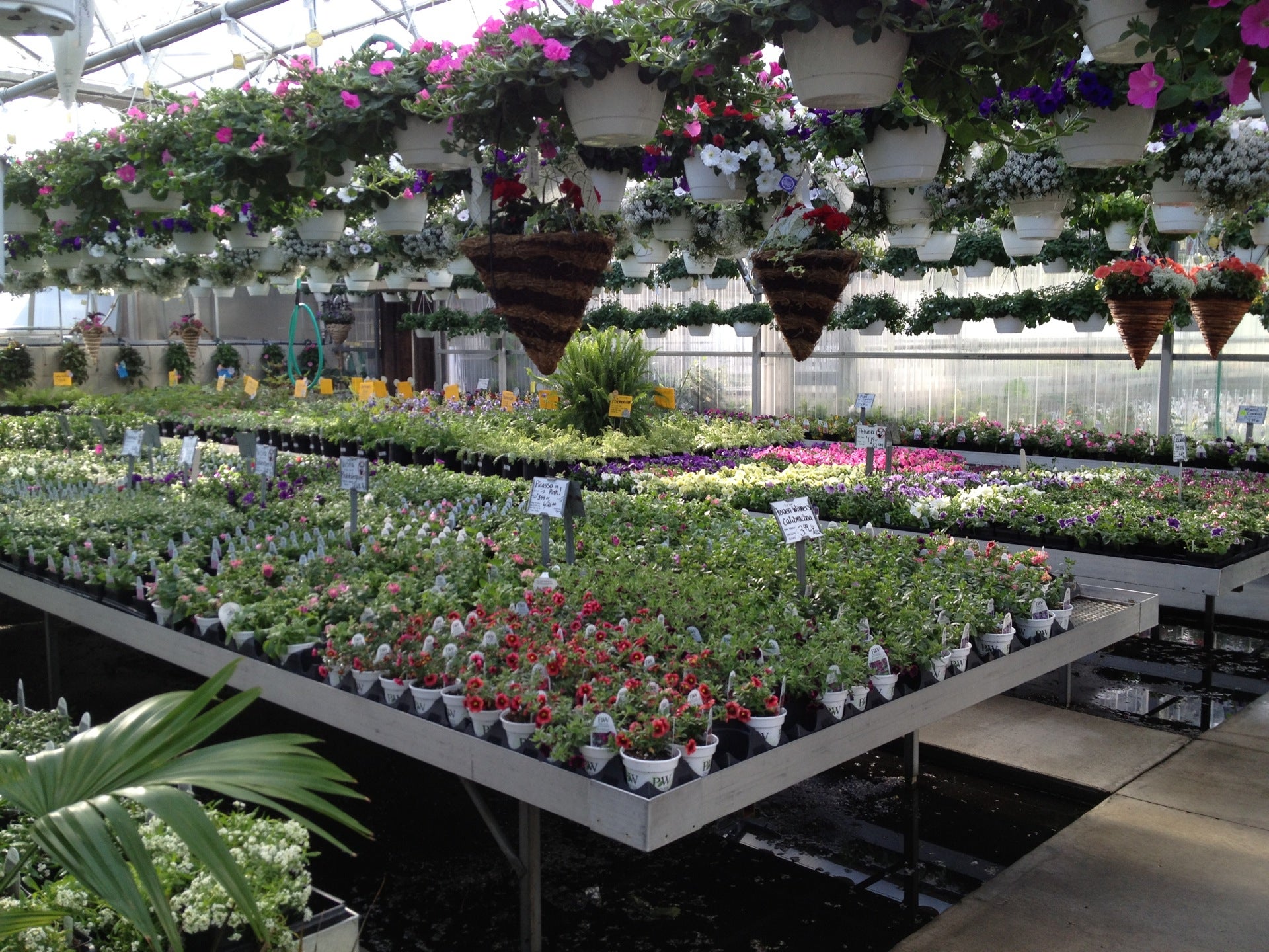 Briar Rose Greenhouses, 1581 Briertown Rd, East Earl, PA, Greenhouses