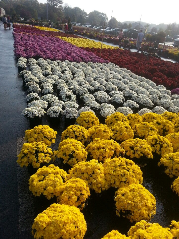 Gasko's Family Farms, 112 Federal Rd, Monroe Twp, NJ, Food Products