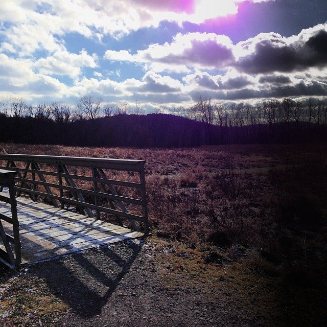 boyce park mountain bike trails