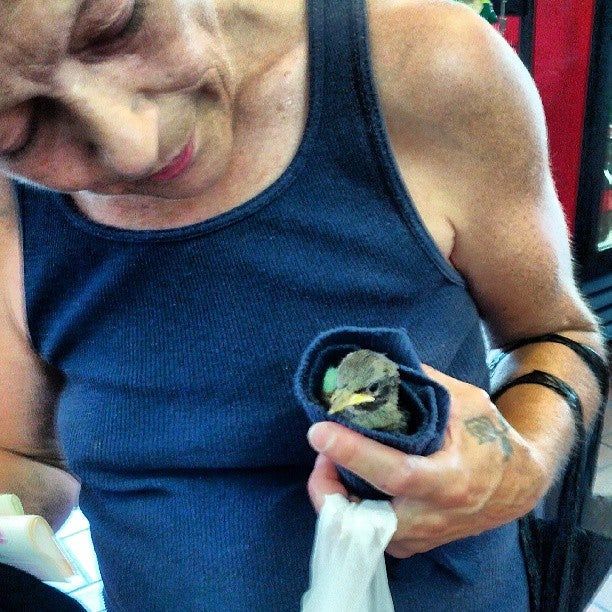 Absecon, NJ Map & Directions MapQuest